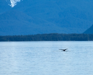 Alaska-1010_2 Alaska-1010_2