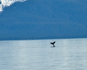 Alaska-1022_3 Alaska-1022_3