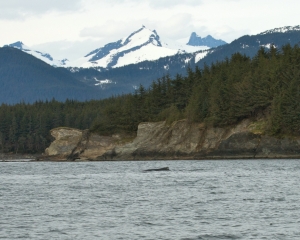 Alaska-1182