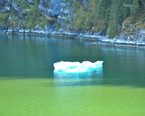 Alaska-461_2