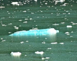 Alaska-502