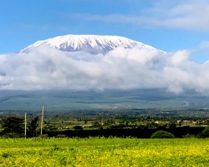 Mt. Kilimanjaro