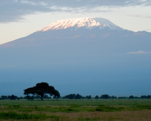 Mt. Kilimanjaro