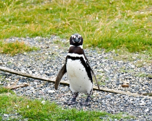 DSC_0380