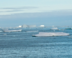 D85_9019