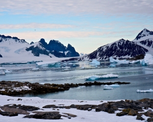 DSC02909