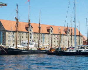 Cruise-33