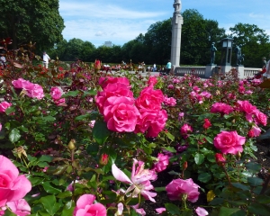 Vigeland-19