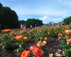 Vigeland-20
