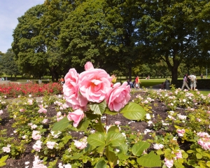 Vigeland-21