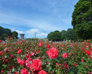 Vigeland-22