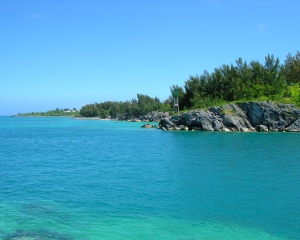 DSCN0117