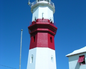 DSCN0131