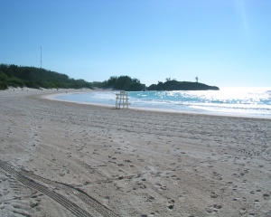 DSCN0136