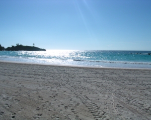 DSCN0137