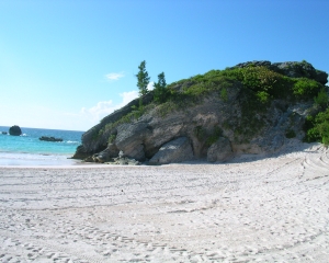 DSCN0140