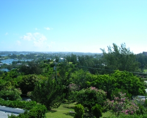 DSCN0142