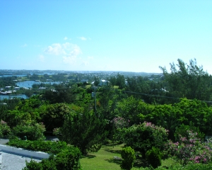 DSCN0143