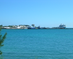 DSCN0146