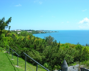 DSCN0147
