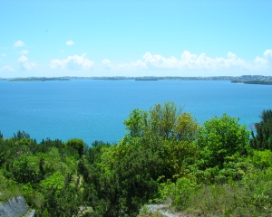 DSCN0149