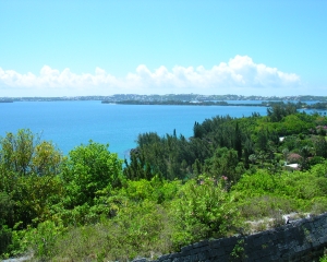 DSCN0150