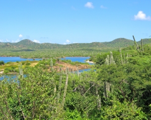 Looking-north-across-Lake-Gotomeer