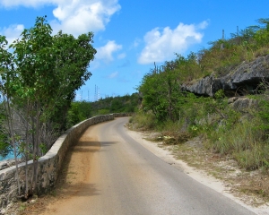 Narrow-road