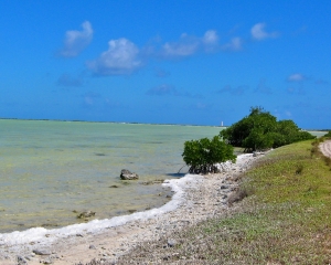 Salt-flats