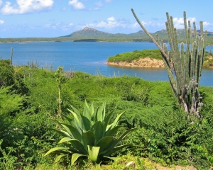View-above-Lake-Gotomeer