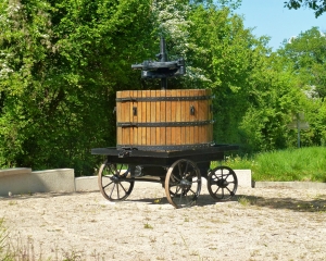 Wine-press Wine-press