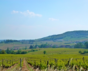 Sao__ne-et-Loire_001 Sao__ne-et-Loire_001
