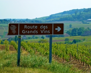 The-Burgundy-Wine-Road