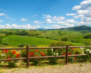 Altesino-Winery-_2_