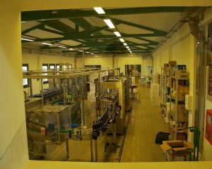 Caparzo-Winery-_11_