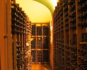 Caparzo-Winery-_8_