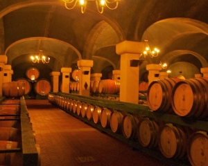 Caparzo-Winery-_9_