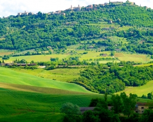 View-of-Montalcino-from-Altesino-Winery