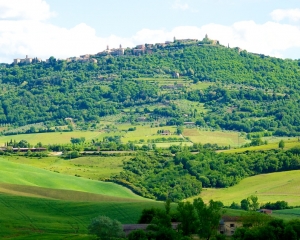 View-of-Montalcino-from-Caparzo-Vineyards