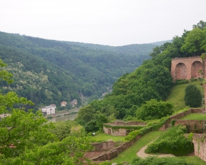 Heidelberg-25