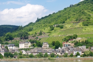 Rhine-10