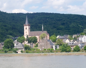Rhine-11