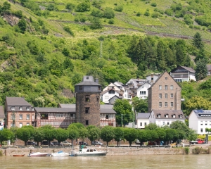 Rhine-14