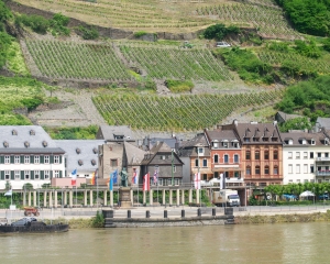 Rhine-15