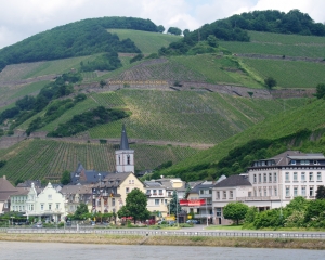 Rhine-3