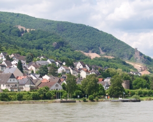 Rhine-4