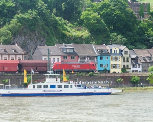 Rhine-8
