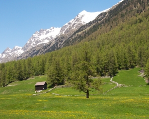 StMoritzTrain-9