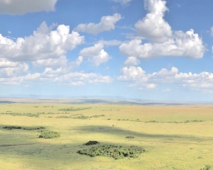 Masai Mara