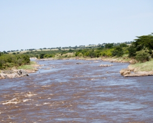 Mara River